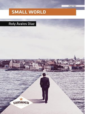 cover image of Small World
